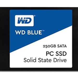 WD 250GB Blue Sata Solid State Drive (SSD)