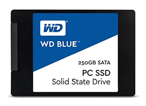 WD 250GB Blue Sata Solid State Drive (SSD)