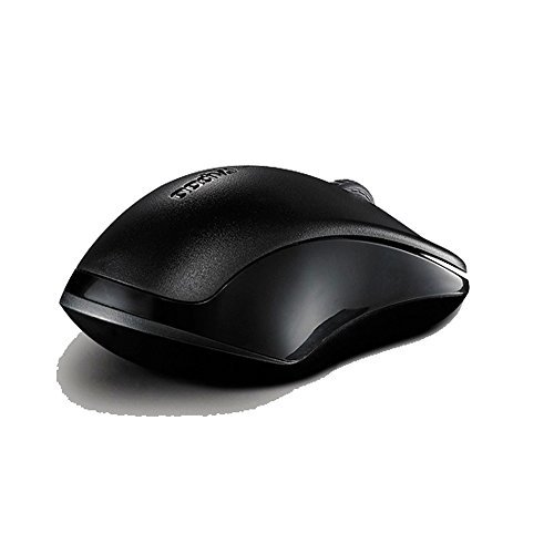 Rapoo 1620 Matte Power Wireless Mouse