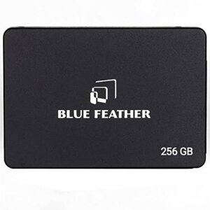 Blue Feather 256GB Solid State Drive (SSD)